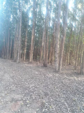 Área á venda em São Pedro, Bairro Tanquã, com 2 alqueires e 18.000m² - Atual.20-10-25