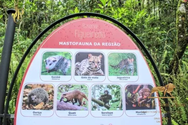 Imagem Terrenos Reserva Figueiredo apatir de R$850.000,00