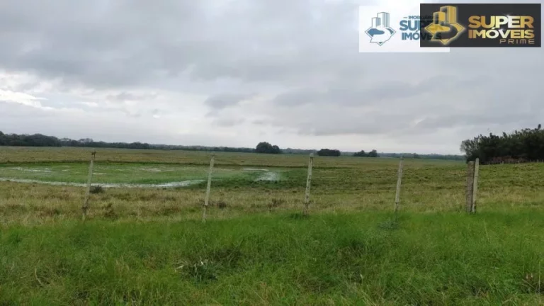 Imagem Fazenda Pecuária de excelência para Venda em Cristal-RS