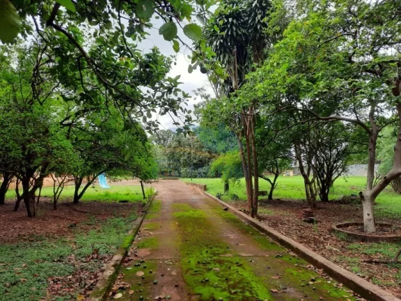 Imagem Chácara - Ribeirão Preto - Bonfim Paulista - Região Sul