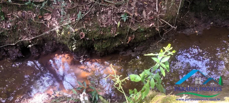 Imagem Fazendinha Completa à Venda em Paraisópolis: 56,9 hectares
