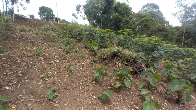 Imagem VENDO ESTE EXCELENTE TERRENO EM NOVA FRIBURGO - BAIRRO: TOLEDO