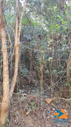 Imagem Lote no bairro Jardinaves,Nova Lima, Prox ao Condom. Olympus