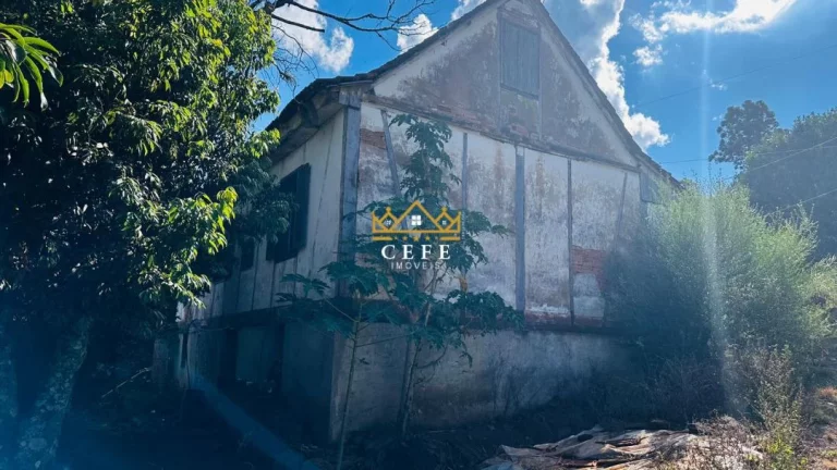 Imagem Chácara - Sítio com 2 Dormitorio(s) localizado(a) no bairro Morro Hansen em Picada Café / RIO GRANDE DO SUL Ref.:1560