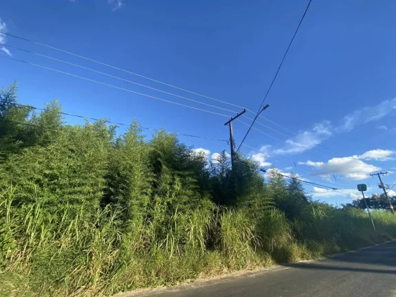 Imagem Terreno à Venda com 15.961,90 m2 na Colônia Rodrigo Silva