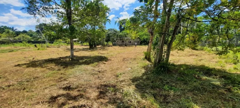 Imagem Chácara para Venda em Itanhaém, Gaivota (Interior), 2 dormitórios, 1 banheiro, 15 vagas