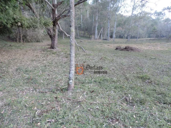 Imagem Sítio com 2 dormitórios à venda, 1000000 m² por R$ 28.000.000,00 - Dos Marmelos - Campos do Jordão/SP