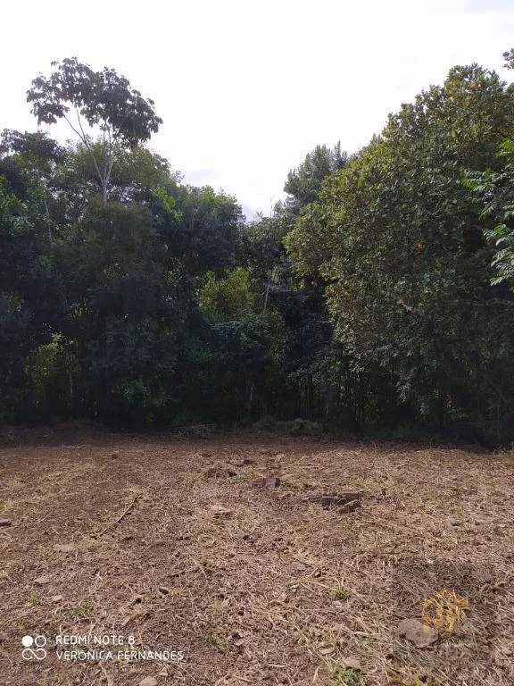 Imagem Terreno à Venda, 4.959 m² em Aldeia - Paudalho