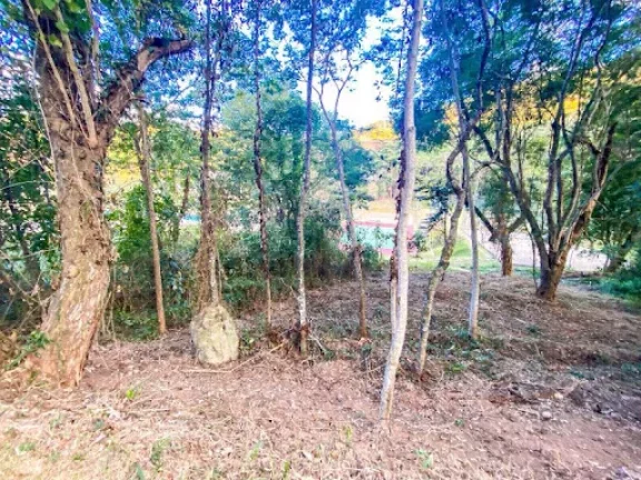 Imagem Terreno à venda, 322 m² por R$ 159.900,00 - Vargem Grande - Teresópolis/RJ
