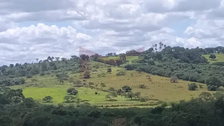 Terreno à venda - 48 tarefas / Excelente Localização / Próximo à Pista