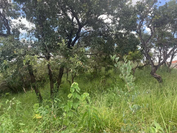 Imagem OFERTA !! CHÁCARA DE 1.123,50 M², EM JUATUBA!