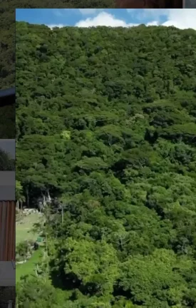 Imagem Exclusivo Terreno​ 14.189,90 m2 na Praia de Taquaras​ com vista mar em Balneário Camboriú