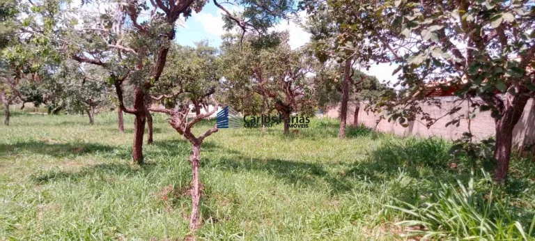 Imagem Lote em Condomínio Fechado para Venda em Brasília, Setor Habitacional Tororó (Jardim Botânico)