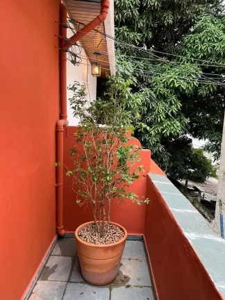 Imagem Casa Reformada Vila Clementino - 110M², 2 Dorms, 1 Suíte