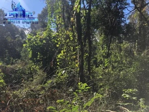 Imagem TERRENO 500 m² DENTRO DE CONDOMÍNIO FECHADO.

Área com 20 metros de frente, e com vegetação sec...