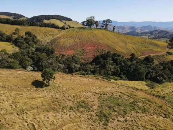 Imagem Fazenda à Venda, 4.463.400 m² em Zona Rural - Maria Da Fé