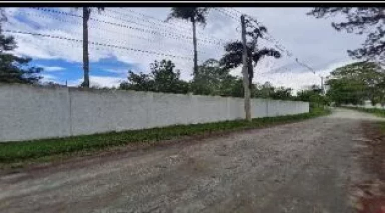 Imagem CHACARA RENDA EXTRA EM SUZANO JA COM RENDA