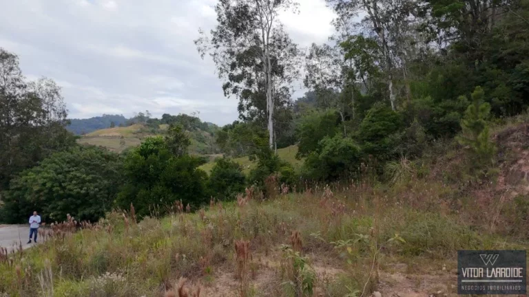 Imagem Terreno à venda no Loteamento São Martinho  Tubarão/SC