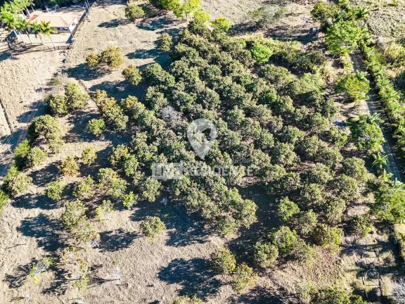 Imagem Sítio à Venda - Itatiba x Valinhos - 43.300 m²