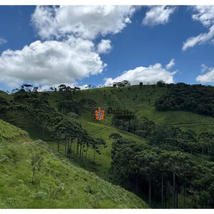 Imagem Área à venda, 13 alqueires paulista por R$ 5.300.000 - São Mateus - Camanducaia/MG