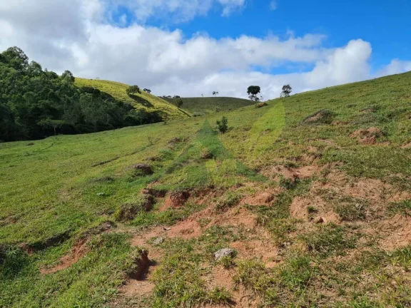 Imagem Belíssimo sítio á venda localizada na cidade de Piracaia
