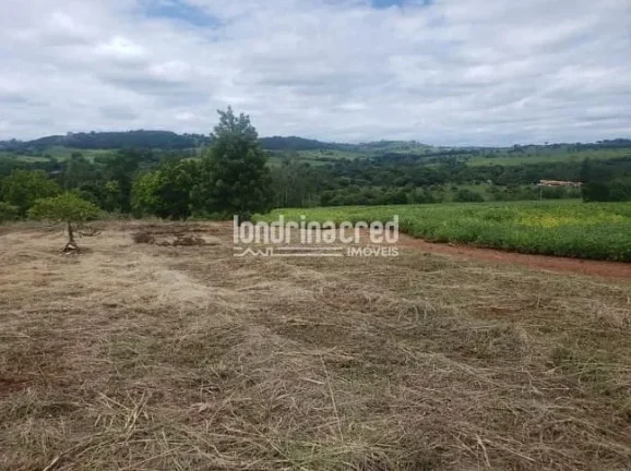 Imagem Excelente Sítio em Ibiporã-PR: 2 Casas de Alvenaria, 24.200m², Área Verde, Próximo ao Rio Tibagi e a 5km da Via Urbana