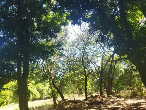 Imagem Sítio - Mococa - Zona Rural
