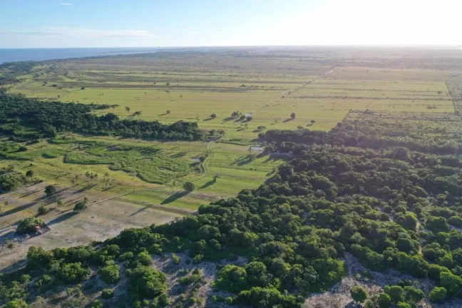 Imagem Fazenda a venda em Bahia BA, farms for sale in Bahia Brazil, farm for sale in Brazil, comprar fazenda estado da Bahia, fazenda para venda na Bahia