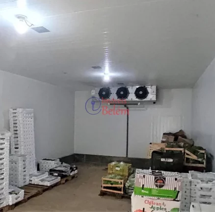 Imagem Imóveis Belém Aluga Galpão c/ câmara fria na Pedreira Imagem Imóveis Belém Aluga Galpão c/ câmara fria na Pedreira