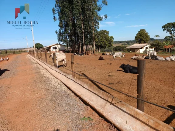 Imagem Fazenda á venda em Avaré SP