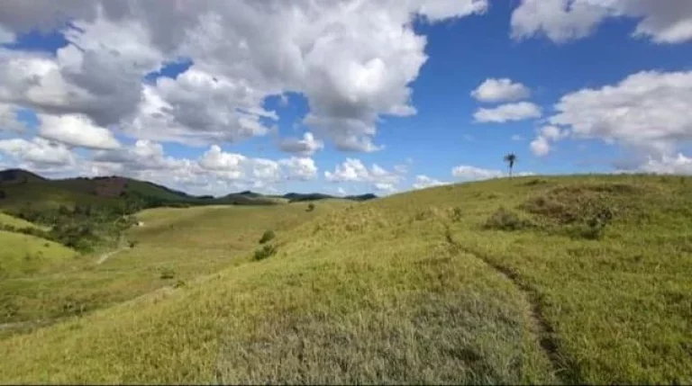 Imagem Fazenda em Macaé - RJ, Área rural