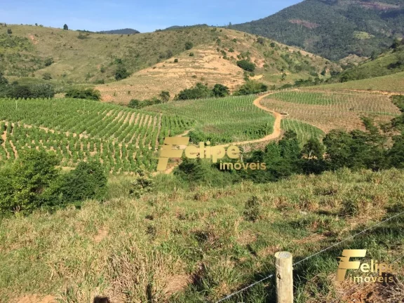 Imagem FAZENDA EM COLATINA (28KM DO CENTRO) / UM IMPERDÍVEL NEGÓCIO!