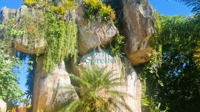 Imagem Casa de Condomínio à Venda nas Toninhas - Ubatuba/SP.