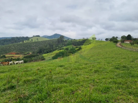 Imagem Oportunidade: Sítio de 16 alqueires com vista deslumbrante em Piracaia