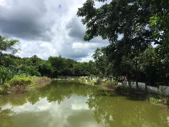 SITIO RESIDENCIAL em ALTOS - PI, Rural