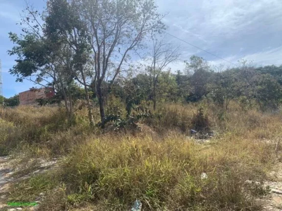 Imagem EXCELENTES LOTES, BAIRRO RECANTO DO SOL EM FLORESTAL.