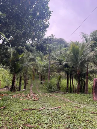 Imagem Sítio em Juquiá