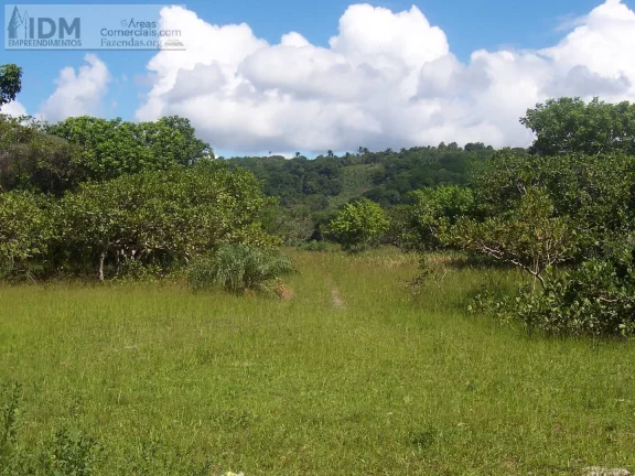 Imagem 400.000 m² com 500 m de frente ao Mar em Ilhéus - BA