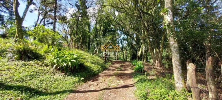 Imagem Chácara - Sítio com 3 Dormitorio(s) localizado(a) no bairro Recosta em São Francisco de Paula / RIO GRANDE DO SUL Ref.:1533