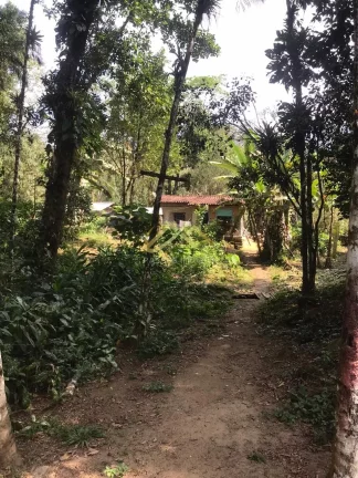 Imagem LINDA ÁREA DE 32.500M² EM UBATUBA, FACÍL ACESSO... OPORTUNIDADE.