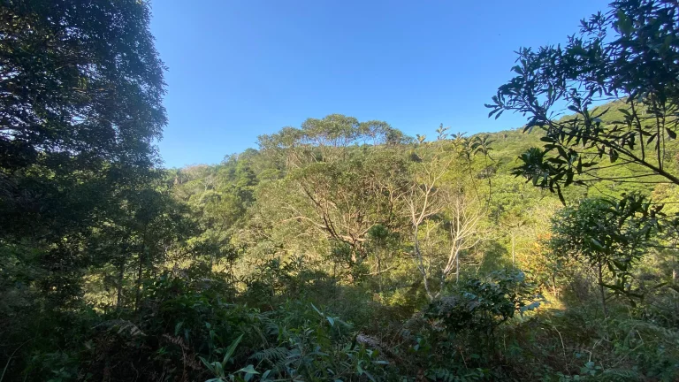 Imagem Terreno à venda em Garopaba-SC, bairro Ressacada, com 172.989,94 m² de área! Venha conferir!