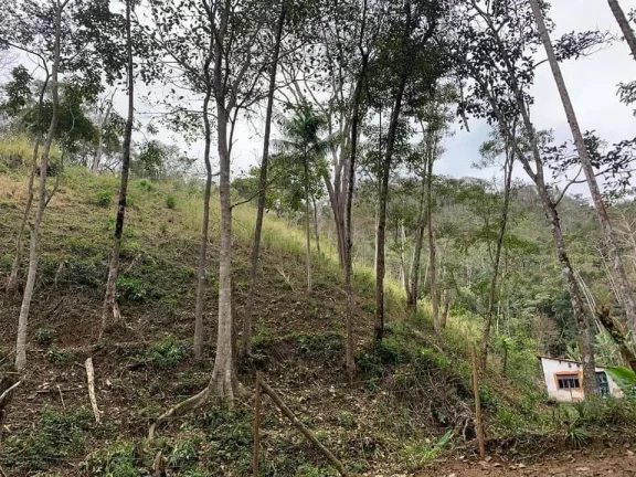 Imagem PROPRIEDADE A VENDA EM NOVA FRIBURGO - 81.000m2
