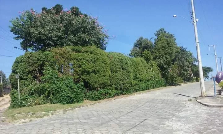 Imagem Chácara em Sarapuí - 5.000m²