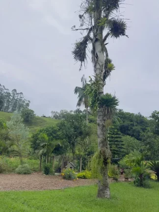 Imagem Lindo Sitio em Santa Catarina - Ascurra
