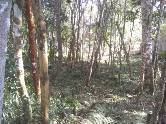 Imagem Terreno com 1889 m2 próximo a praça do Caputera - Aceita financiamento bancário