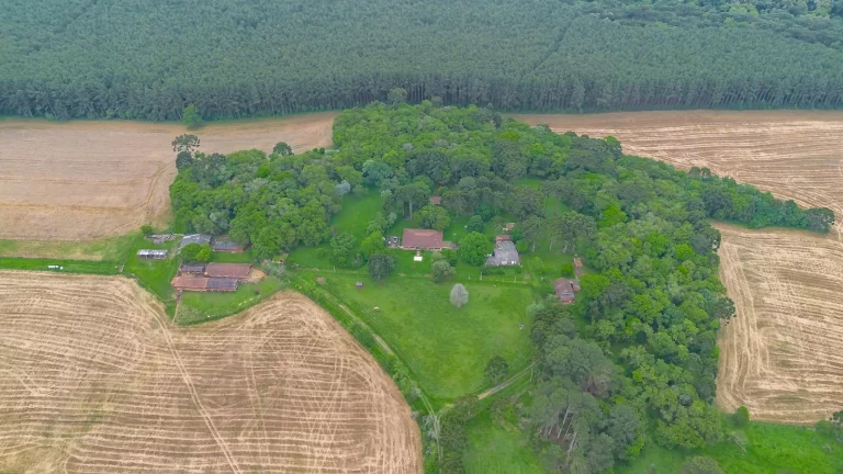 Imagem Sítio à venda na Lapa Paraná