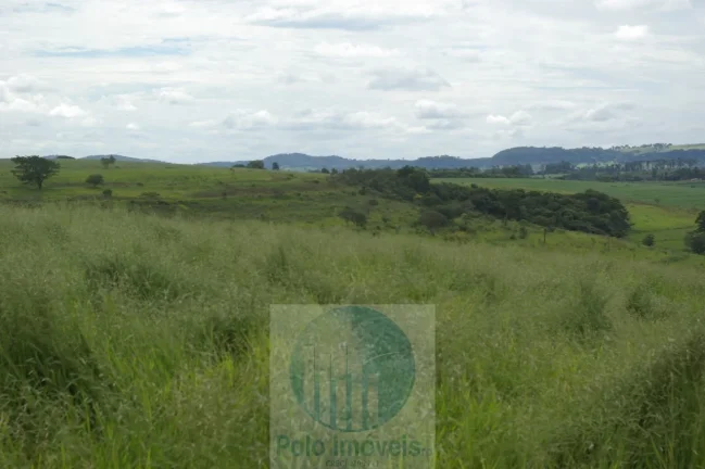 Imagem Fazenda em Cajuru 72 alqueires com soja, gado, braquiária e estrutura, 75 km de Ribeirão Preto - SP