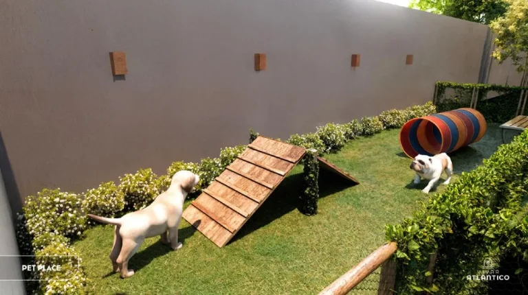 Imagem Apartamento Padrão