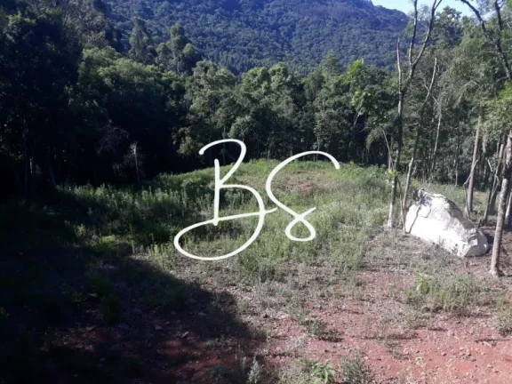 Imagem CHACARA RURAL em IGREJINHA - RS, Serra grande