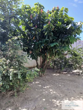 Imagem Casa 2 dormitórios com piscina a venda no Jardim Carolia